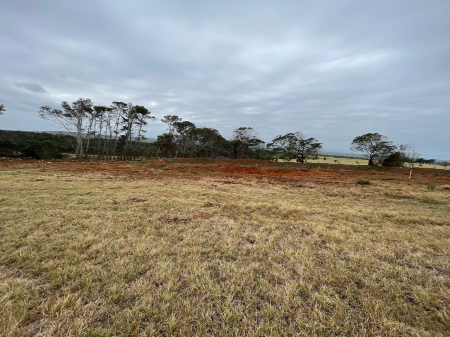 0 Bedroom Property for Sale in Hankey Rural Eastern Cape